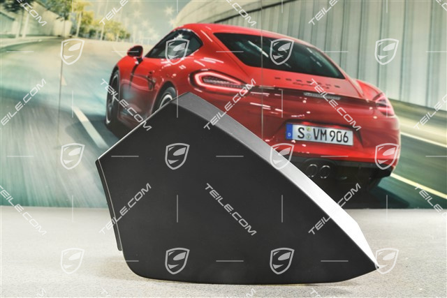 Türverkleidung, vorn, Blende, Einsatz, Schwarz, L