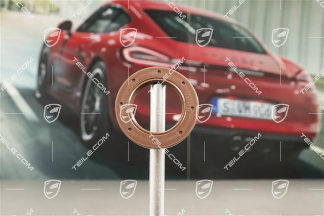 Wellendichtring  für Ausgleichswelle, L