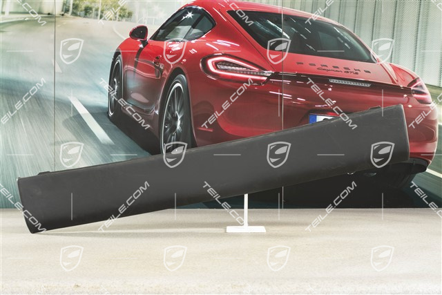 Verkleidung, Rückwand, coupé, Leder, Schwarz