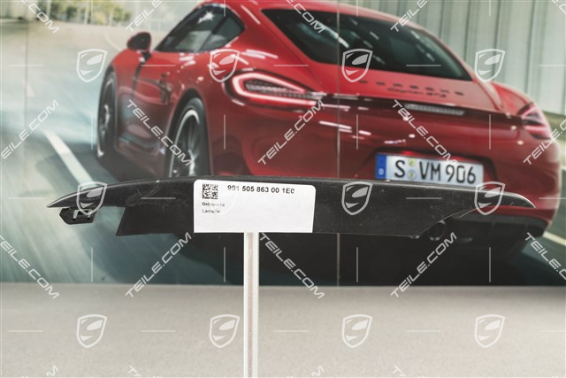 Disc / cover for Air exhaust retaining frame, Black, L