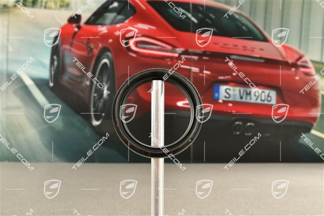 Sealing ring / oil seal