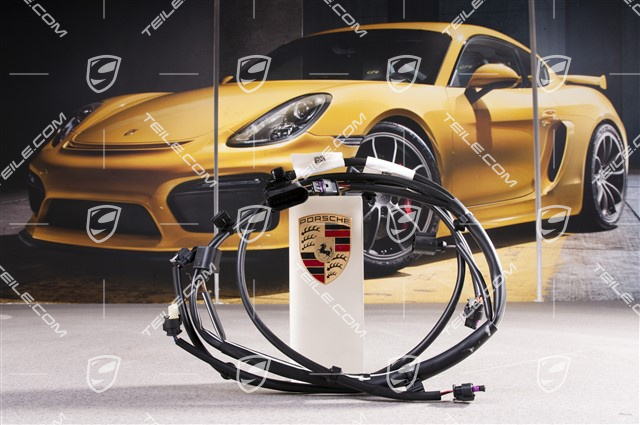 Kabelstrang Verkleidung hinten, C4/C4S, PDC