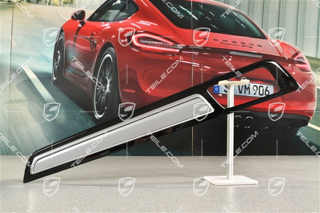 Blende, Tür, vorne und hinten, Aluminium gebürstet, R
