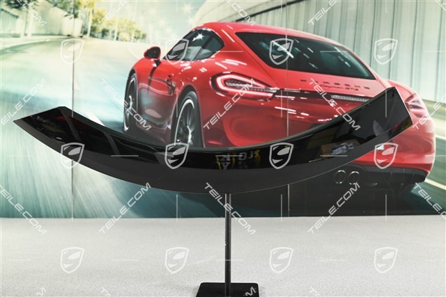 Radabdeckung / Radhausverbreiterung, hinten, Lackierbar, L