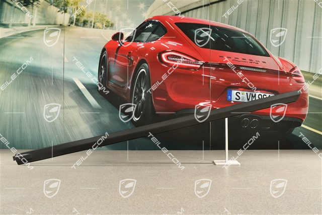 Einstiegsleiste, Vorne, aussen, Satinschwarz, R