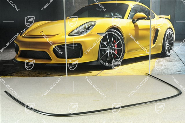 Zierleiste Heckscheibe, Targa