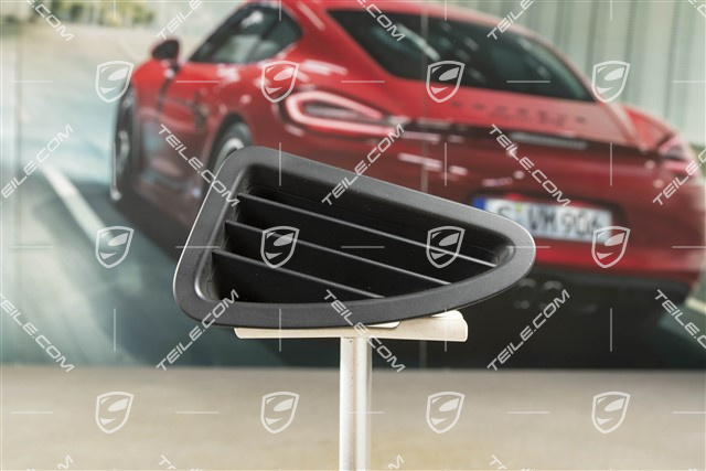 Dashboard side vent / grille / defroster trim, upper, Black, L