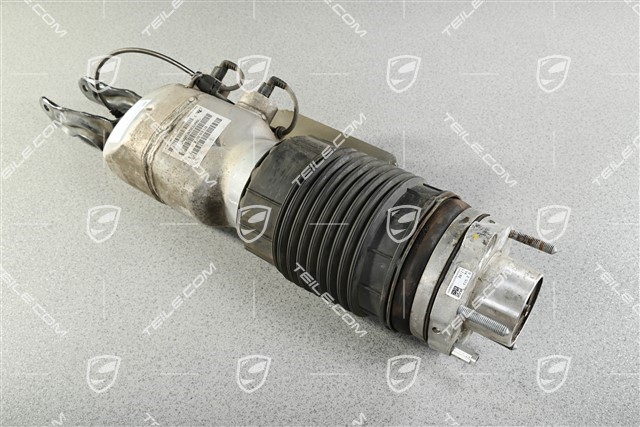 Stossdämpfer / Schwingungsdämpfer, Luftfederung, VA, Komplett, L