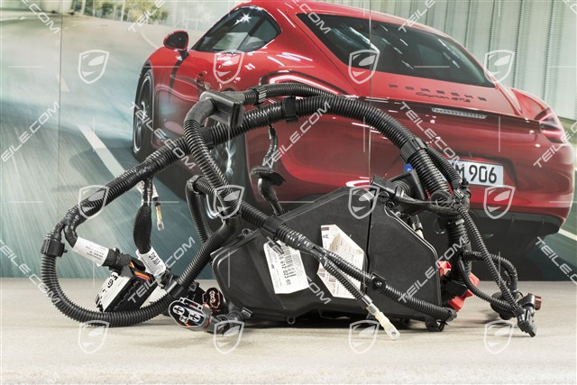 Wiązka elektryczna, komora silnika, 4,2L TDI