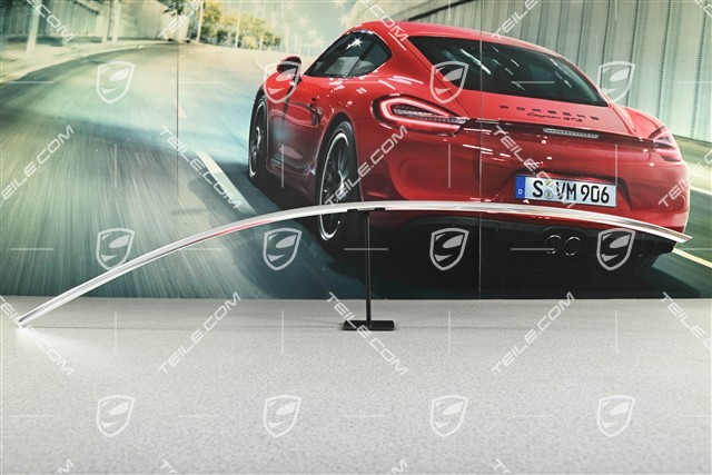 Front door Trim strip, upper, Galvano silver, R