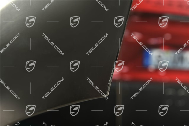 Tür hinten, leicht beschädigt / minimale Transportschaden, L