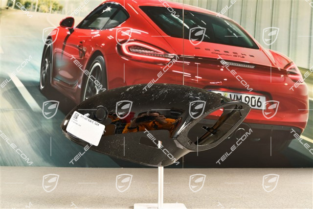 Spiegelgehäuse / Spiegel, Blende unten mit Real Top View, Lackierbar, R