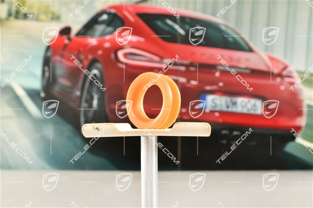 Gleitring für Schaltstange