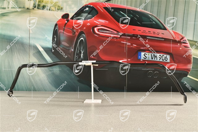 GTS 4,0L, Stabiliser / Sway bar, rear axle, Sports suspension