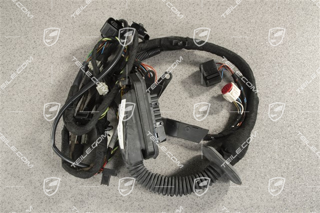 Wiązka elektryczna, drzwi, L