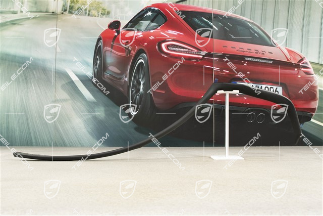 Uszczelka drzwi, zewnętrzna, tył, Coupe, R