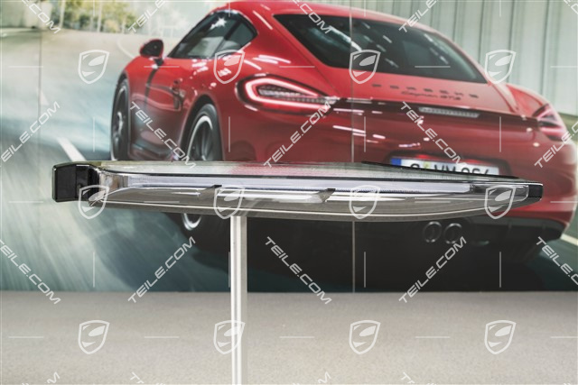 Direction / Indicator light, L