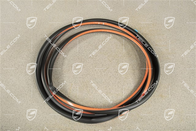 Vordertür, Tuerdichtung / Türdichtung, Aussen