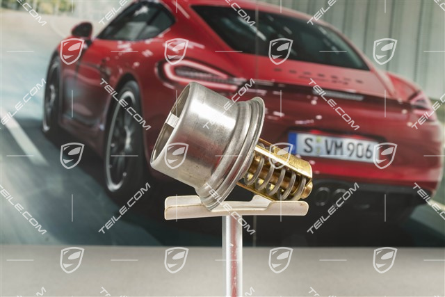 2,9 / 3,4L, Thermostat insert