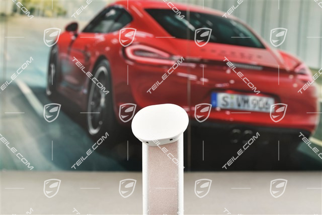 Cap / Blind dummy plug for rear spoiler wing mouning screw, L