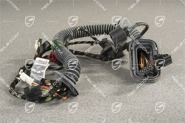 Wiązka elektryczna drzwi przednich, Rama montażowa, 10 pinów, L