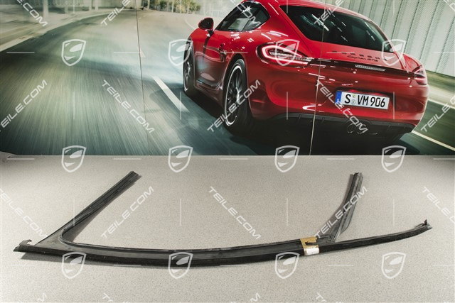 Fensterführung, Außendichtung vorne, R