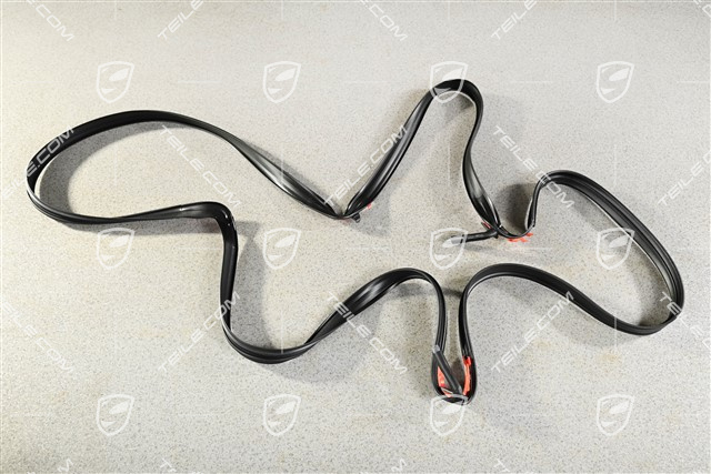 Dichtung für Glasdach, Targa