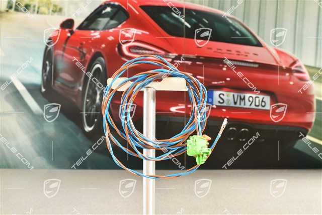 Wiązka elektryczna, drzwi, airbag boczny, L=R