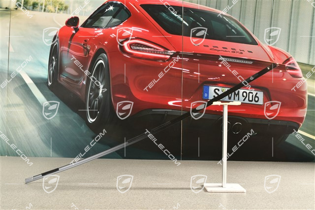 Targa, Abdeckleiste /-Blende