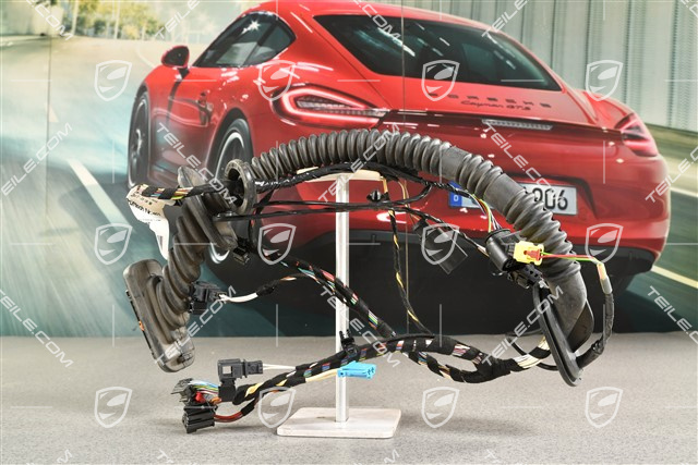 Wiązka elektryczna drzwi, drzwi kierowcy, system audio Burmester