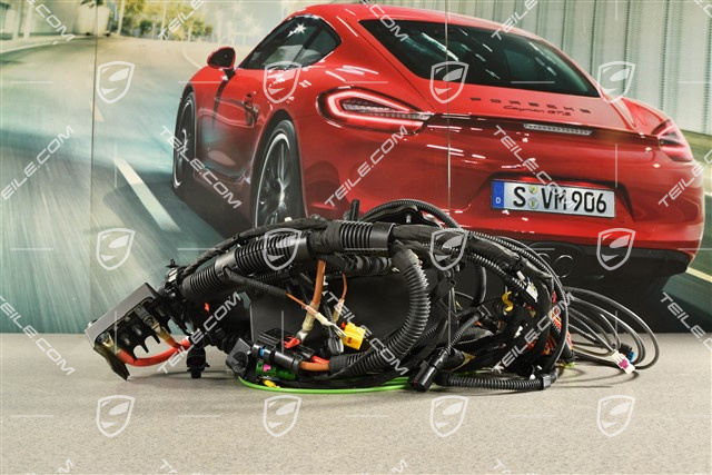 Kabelbaum im Motorraum, Hybrid, R