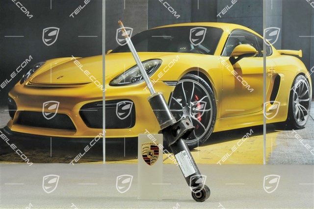 Stoßdämpfer, BOGE, R