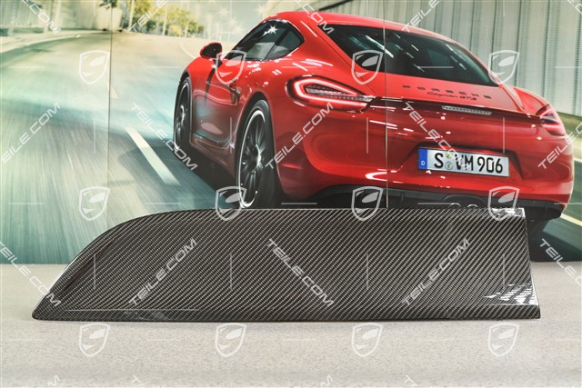 Blenda zewnętrzna drzwi tylnych, Carbon, L