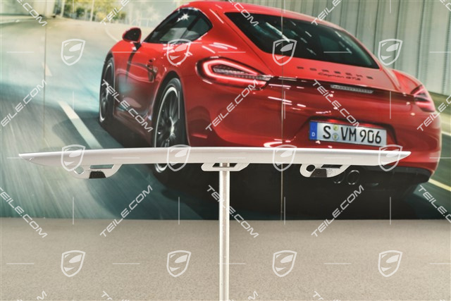 Disc trim for front bumper retaining frame, centre, Rhodium Silver, L