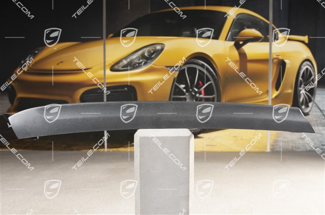 Disc, Retaining frame, lower, right, black mat