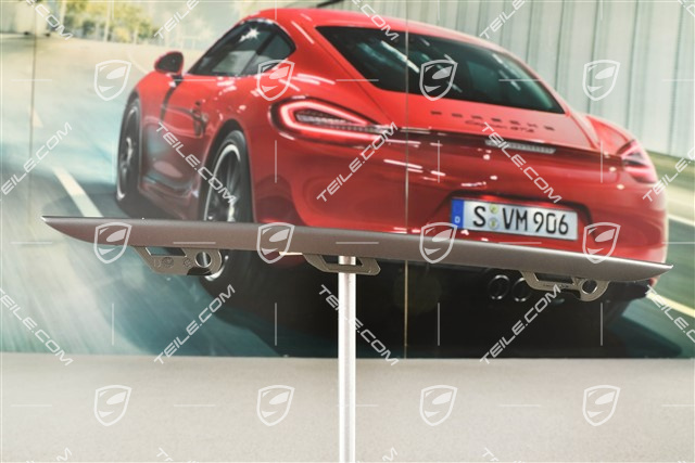 Blenda dekoracyjna blendy kratki zderzaka, dolna, platynowa satyna, R