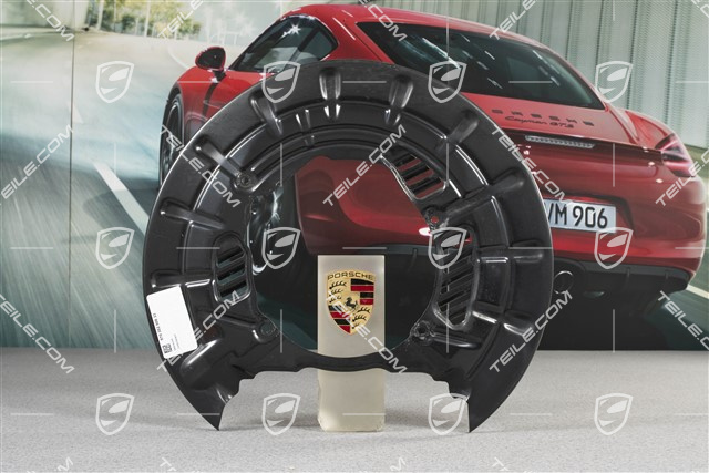 Tarcza kotwiczna / osłona tarczy hamulcowej tylnej, PCCB, R