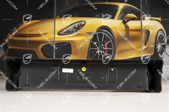 Rear bumper number / Licence plate support, V6, V8