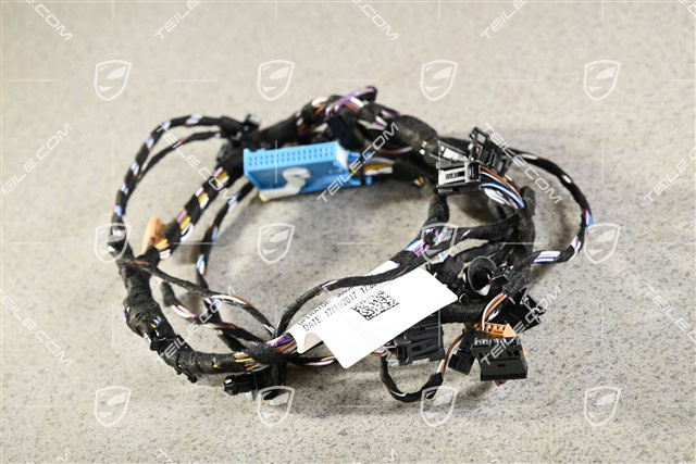 Kabelstrang Vordertür, soundpaket Burmester, R