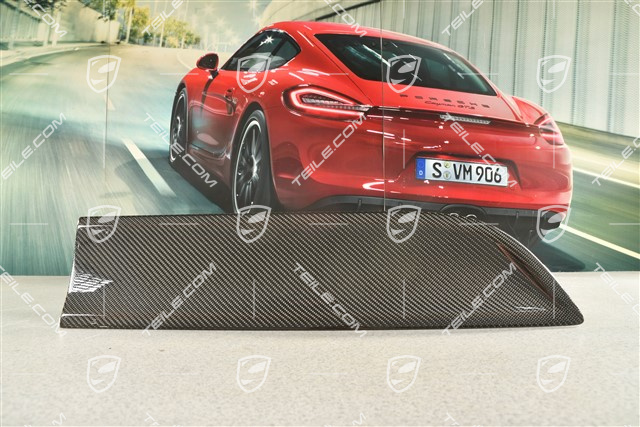 Rear door cover / trim, Carbon, R