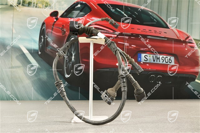 Wiring harness / Electric loom for ABS, rear, L=R