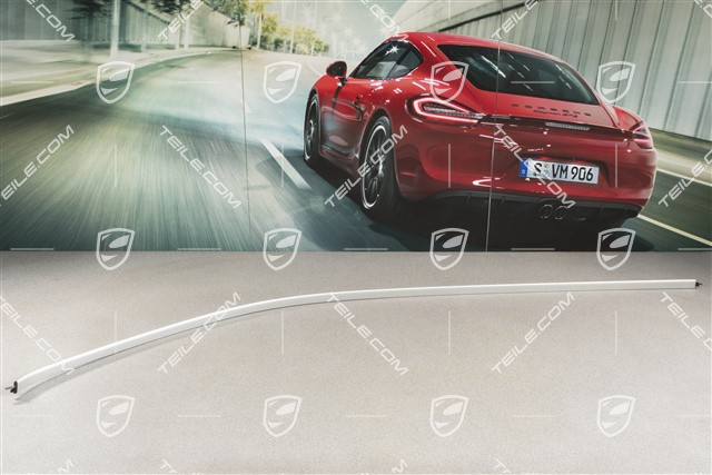 Dachkantenleiste, vorne, Alu, R