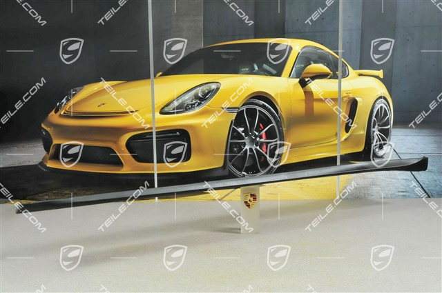 Sill cover, C4/C4S/Targa4/Targa4S/GT3, L