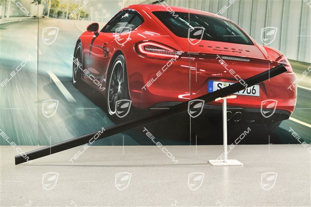 Hintertürleiste, Rallyeschwarz, L