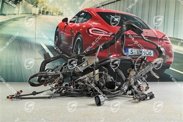 Facelift 3,6L, Motor Kabelstrang / Kabelbaum