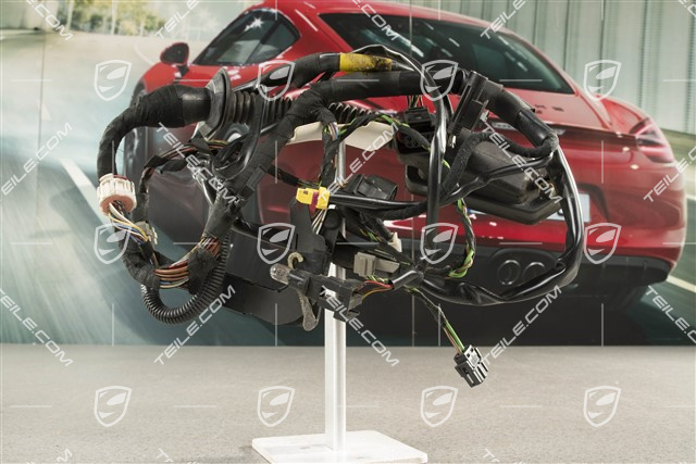 Wiązka instalacji elektrycznej, drzwi pasażera, R