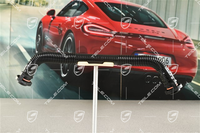 4,8L S / GTS, Vent line / breather hose, Oil separator