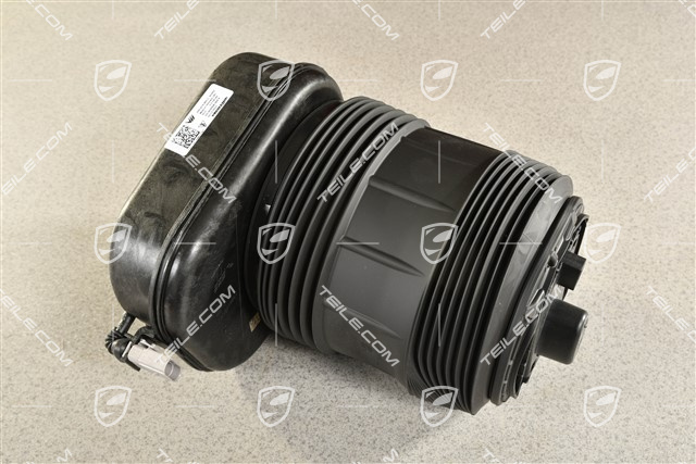 Stossdämpfer, Hinterachse, PASM, R