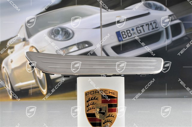 Einstiegleiste Edelstahl, Satz