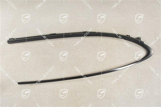 Zierleiste Türschacht, inkl. Dichtung, hinten, Schwarz-matt, R